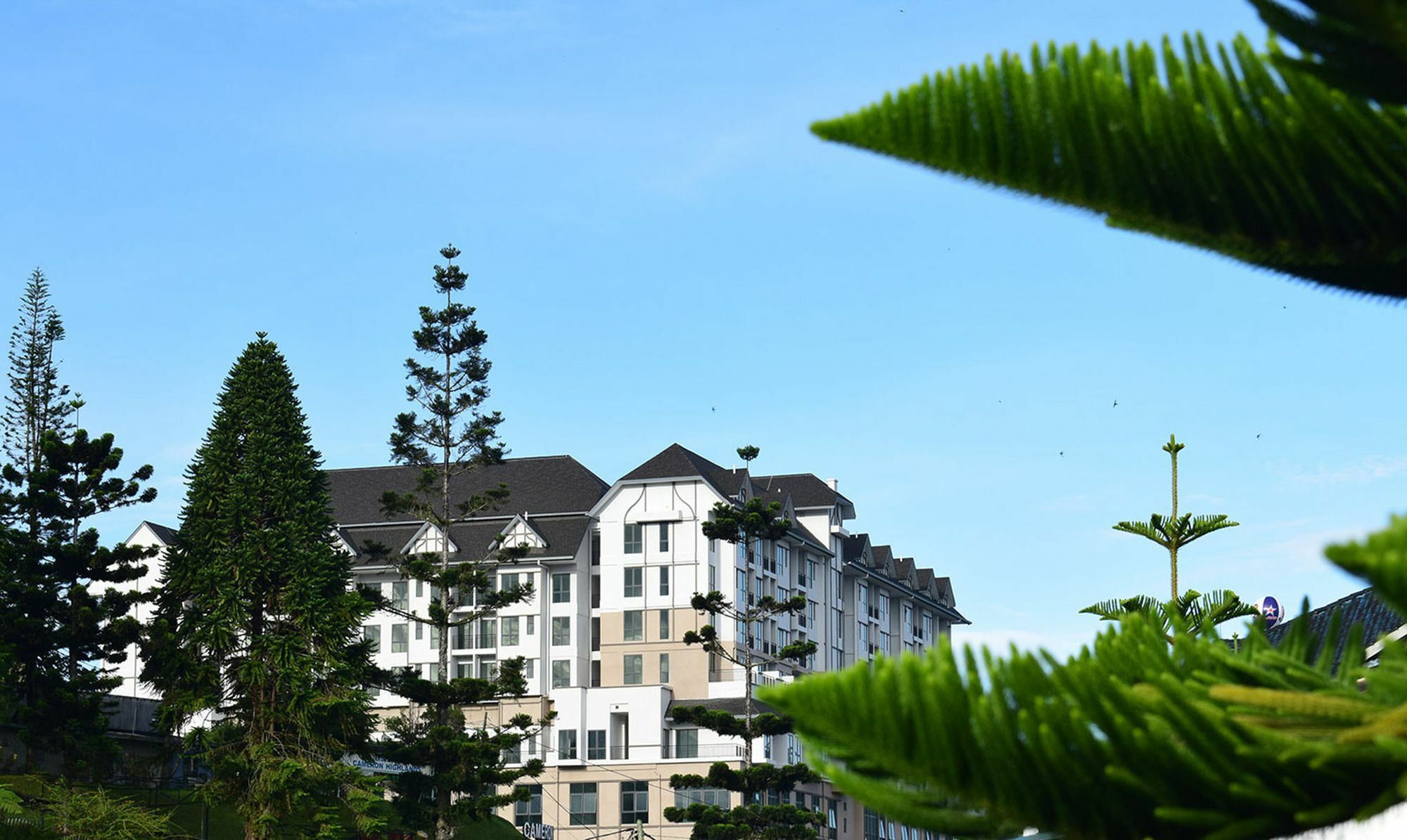 Avillion Cameron Highlands Exterior photo